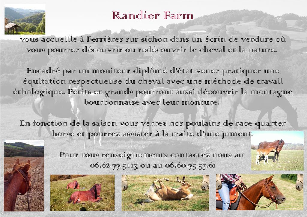 Villa Domaine Du Randier à Ferrières-sur-Sichon Extérieur photo